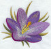 F9750.jpg