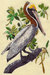 G8956.jpg