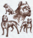 G9625.jpg