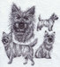 G9976.jpg