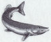 H4373.jpg