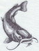 H4391.jpg