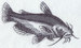 H4394.jpg