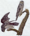 H4779.jpg
