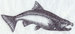 H4789.jpg