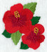 H5667.jpg